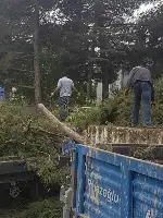 ESKİ SAĞLIK OCAĞI BAHÇESİNDEKİ AĞAÇLAR KESİLDİ.