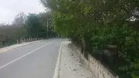 Objektife Takılan