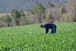 SÜNE SÜRVEYLERİ DEVAM EDİYOR…