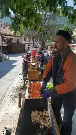 Meydan Çiçeklendirildi