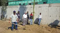 KESİLEN ÇAM AĞAÇLARININ YERİNE ÇINAR AĞACI DİKİLDİ