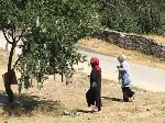 Gerçek Sanan Vatandaşlar Dua edip dilekte bulunarak Çaput Bağlıyor