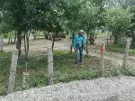 Taraklı Belediyesi Ekipleri Karagöl Yaylasında Temizlik Yaptı