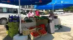  Taraklı Erkek Yurdu Kermes düzenledi