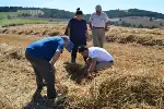 BİÇERDÖVER HASAT KONTROLLERİ BAŞLADI