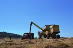 BİÇERDÖVER HASAT KONTROLLERİ BAŞLADI