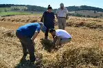 BİÇERDÖVER HASAT KONTROLLERİ BAŞLADI