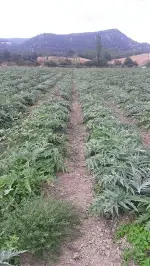 ÇİFTÇİ ZİYARETLERİ DEVAM EDİYOR.