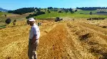 BİÇERDÖVER HASAT KONTROLLERİ BAŞLADI