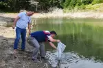 GÖLETLERE BALIK SALINDI.