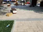 Vatandaştan Çöp Tepkisi