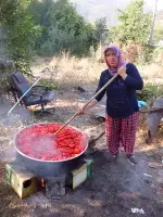 Evlerde Salça Yapımı Telaşı
