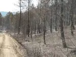 Yazık Oldu... 