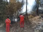 Yazık Oldu... 