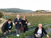 Yazdan Kalma Gün Yaşadılar.