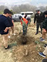 TARAKLI’DA DA FİDANLAR TOPRAKLA BULUŞTURULDU