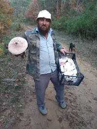 DOĞA'DA PİSİ BURNU MANTARI ZAMANI