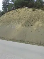 Tehlike Arz ediyordu…