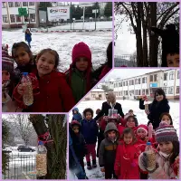 TARAKLILI MİNİKLERDEN ÖRNEK DAVRANIŞ. 