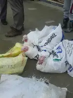 Yılbaşı hindileri pazarda görücüye çıktı