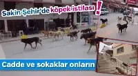  Cadde ve Sokaklar Onların.