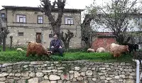 Sizin Objektife Takılan