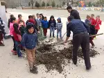 Okul Bahçesine Zeytin Ağacı