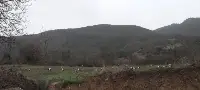 Baharın Habercisi Leylekler Geldi