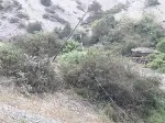 Kopan Telefon Kabloları Vatandaşları Mağdur Ediyor