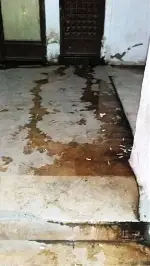 Pasaj Lağım Kokuyor