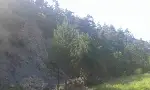Vah Acı Su !!