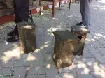 OKUL BAHÇESİNDE AĞAÇLARA AHŞAP KUŞ YUVALARI 