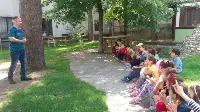 Ormanlarımızda Hangi Tür Ağaçlar Var