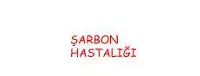  Aksu-Davutlar Mahallesi’nde Şarbon hastalığı