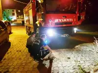 İtfaiyeden Gece Yarısı Yavru Köpek Kurtarma Operasyonu