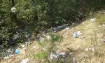 Taraklı’da piknik alanları çöplerden geçilmiyor.