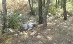 Taraklı’da piknik alanları çöplerden geçilmiyor.