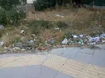 Taraklı’da piknik alanları çöplerden geçilmiyor.