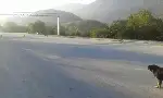 Tıkanan Kanalizasyon Temizlendi
