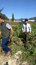 TARAKLI’DA (ÇATAK) DESTEĞİ BAŞURU ARAZİLERİNDE İNCELEME
