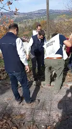 DAHA YEŞİL BİR TARAKLI İÇİN...