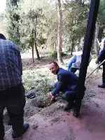 DAHA YEŞİL BİR TARAKLI İÇİN...