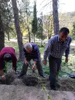 DAHA YEŞİL BİR TARAKLI İÇİN...