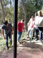 DAHA YEŞİL BİR TARAKLI İÇİN...