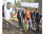 DAHA YEŞİL BİR TARAKLI İÇİN...