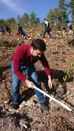 DAHA YEŞİL BİR TARAKLI İÇİN...