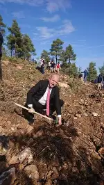 DAHA YEŞİL BİR TARAKLI İÇİN...