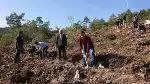 DAHA YEŞİL BİR TARAKLI İÇİN...