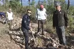 DAHA YEŞİL BİR TARAKLI İÇİN...