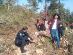 DAHA YEŞİL BİR TARAKLI İÇİN...